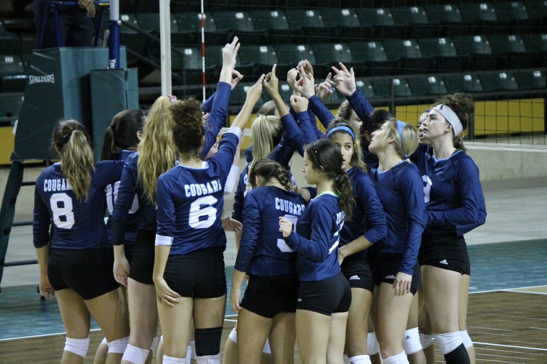 Volleyball Falls in Wharton; Still Punches Ticket to Region XIV Championships