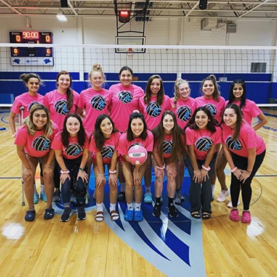 Cougar Volleyball Concludes Regular Season Play; Ready for Region XIV Tournament